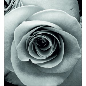 Душ завеса за баня 180/200 см ICSC 143 сива роза