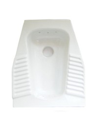 Porcelain squat toilet