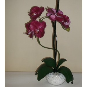Орхидея в стъклен съд с бели камъни